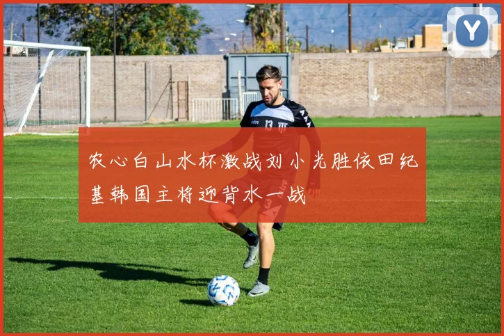 农心白山水杯激战刘小光胜依田纪基韩国主将迎背水一战